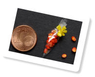 Orangenbonbons